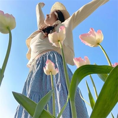 东山再起你是谁